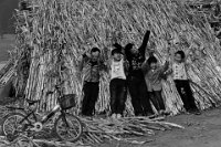 90 - THE JOY OF THE CHILDREN - ZHAO ENHUI - china